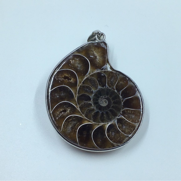 Ammonite Fossil Pendant - Picture 1 of 5